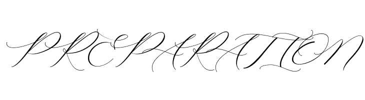 Raja Ampat Script  Free Fonts Download