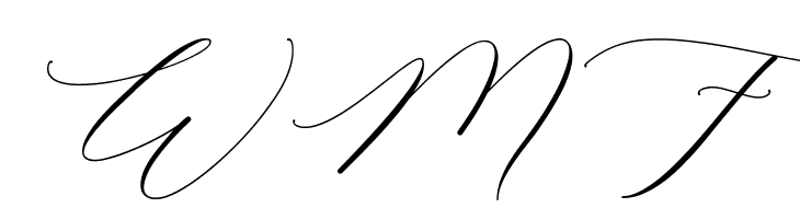 Raja Ampat Script  Free Fonts Download