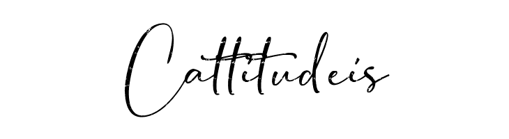 Bondi Sans DEMO Rough  Free Fonts Download