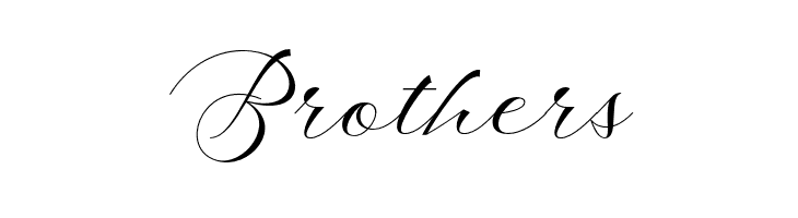 ShophiaScript  Free Fonts Download