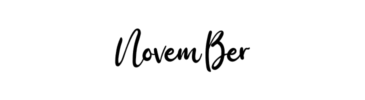 Birdy Home  Free Fonts Download