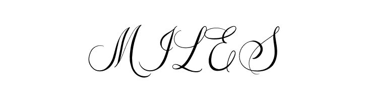The Adelyne Script  Free Fonts Download