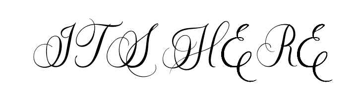 Caliner Script  Free Fonts Download