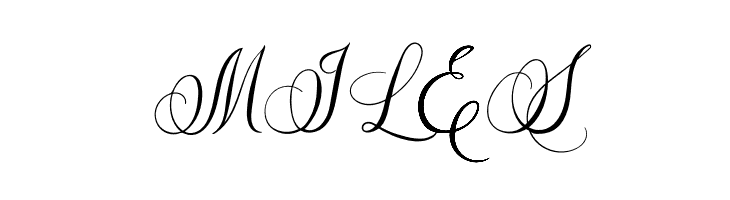 Caliner Script  Free Fonts Download