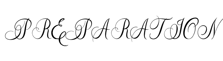 Caliner Script  Free Fonts Download