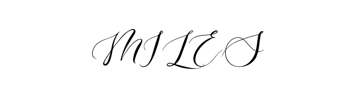 Romantic Sunday  Free Fonts Download