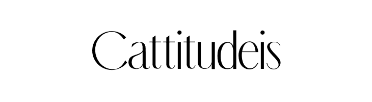 Mon de Tresor Italic  Free Fonts Download