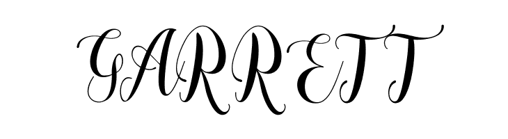 ChasterScript  Free Fonts Download