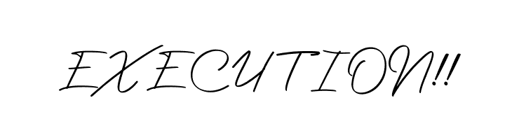 Photographer Script  Free Fonts Download