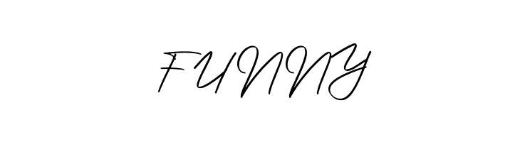 Photographer Script  Free Fonts Download