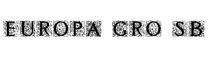 Decorated Roman Initials  Free Fonts Download