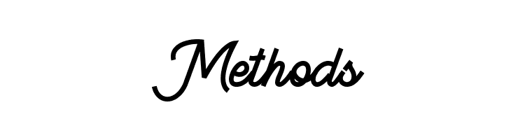 BeeQueen Script Clean  Free Fonts Download
