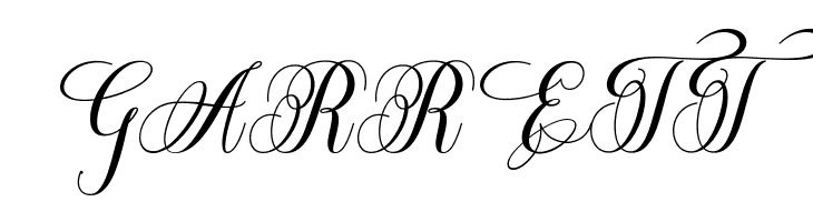 BeatriceScript-Regular  Free Fonts Download