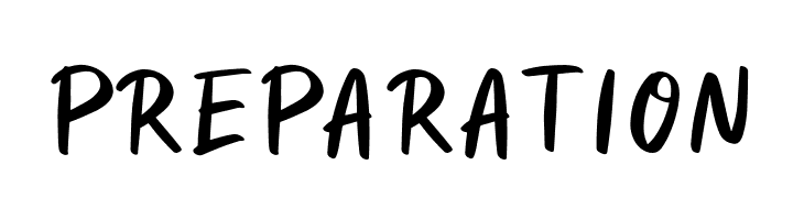 Ranessa Script  Free Fonts Download