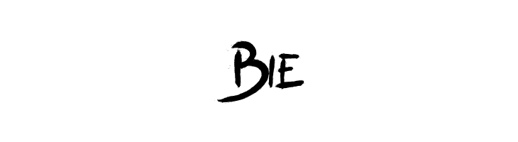 SalvationRegular  Free Fonts Download