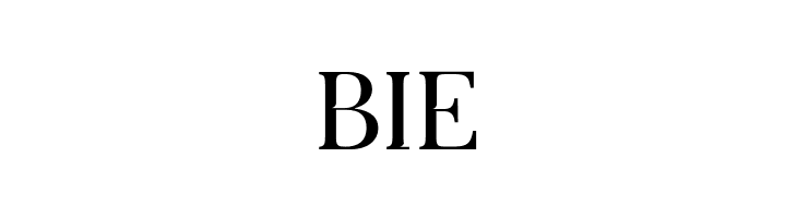 ArterioNonCommercialRegular  Free Fonts Download