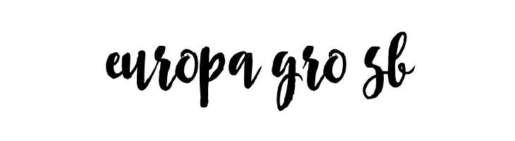 Asly Brush  Free Fonts Download