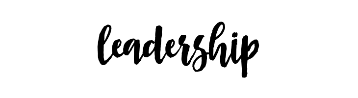 Asly Brush  Free Fonts Download