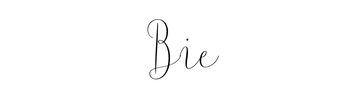 ArgentinaScript  Free Fonts Download