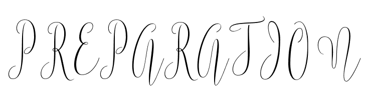 ArgentinaScript  Free Fonts Download