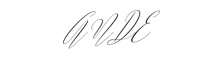 ArgentinaScript-Italic  Free Fonts Download