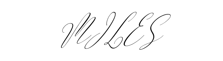 ArgentinaScript-Italic  Free Fonts Download