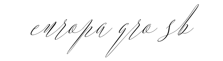 ArgentinaScript-Italic  Free Fonts Download