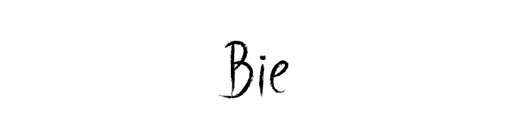 SimpleChalk  Free Fonts Download
