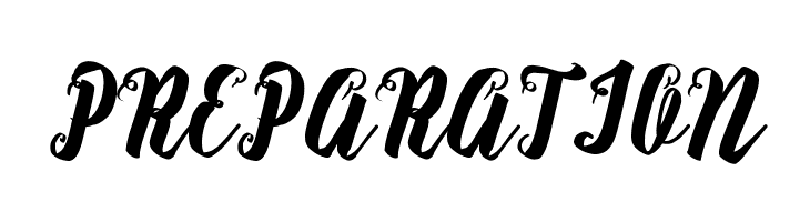 RasterizeScript-Bold  Free Fonts Download