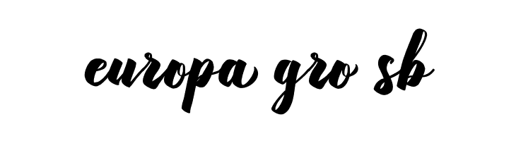 RasterizeScript-Bold  Free Fonts Download