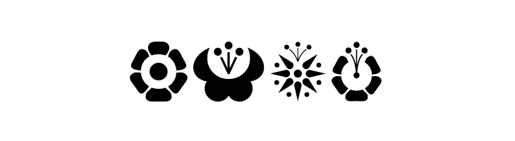 Kalocsai Flowers  Free Fonts Download