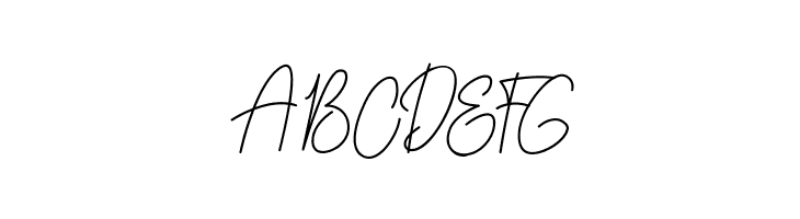 Erika Richardo  Free Fonts Download