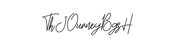 Erika Richardo  Free Fonts Download