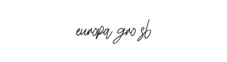 Erika Richardo  Free Fonts Download
