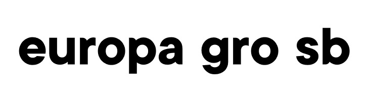 Kinsans Bold  Free Fonts Download