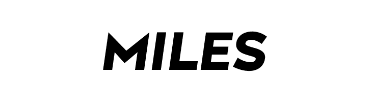 Along Sans s2 ExtraBoldItalic  Free Fonts Download