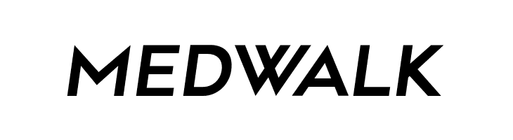 Along Sans s2 SemiBoldItalic  Free Fonts Download
