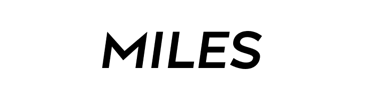 Along Sans s2 SemiBoldItalic  Free Fonts Download