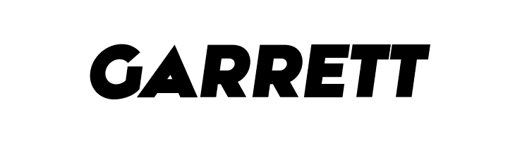 Along Sans s2 HeavyItalic  Free Fonts Download