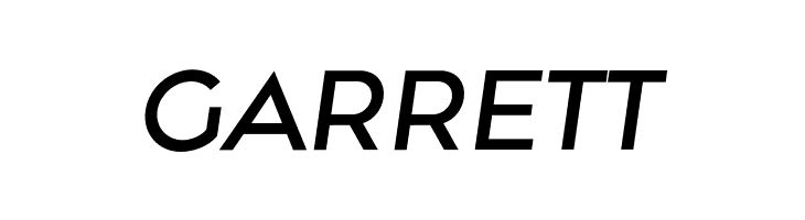 Along Sans s2 MediumItalic  Free Fonts Download