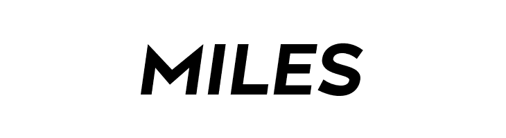 Along Sans s2 BoldItalic  Free Fonts Download