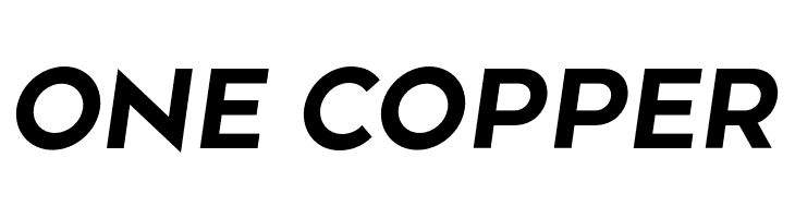 Along Sans s2 BoldItalic  Free Fonts Download