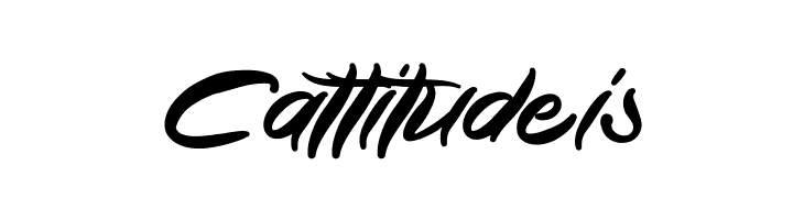 Anyhow  Free Fonts Download