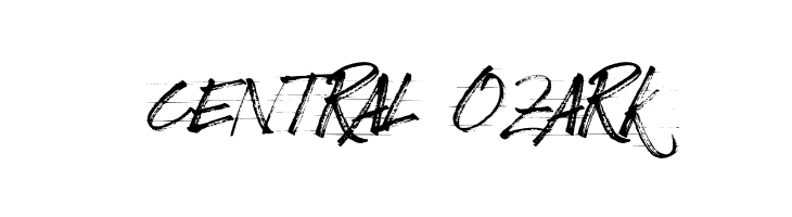 BizardleSs  Free Fonts Download