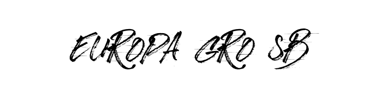 BizardleSs  Free Fonts Download