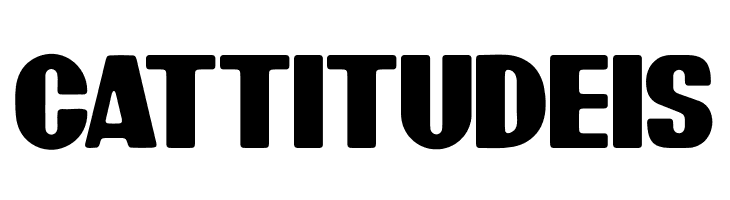 BardonRoundedDemo-Rounded  Free Fonts Download