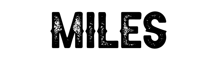 AldivaroStampDemo-Stamp  Free Fonts Download