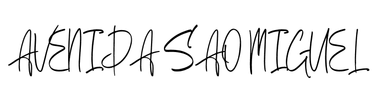 Berthusen Demo  Free Fonts Download