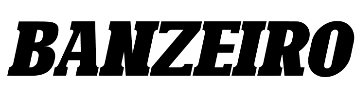 Bonaro Clean Italic Demo Clean Italic  Free Fonts Download