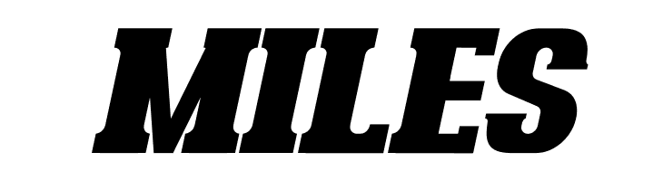 Bonaro Clean Italic Demo Clean Italic  Free Fonts Download